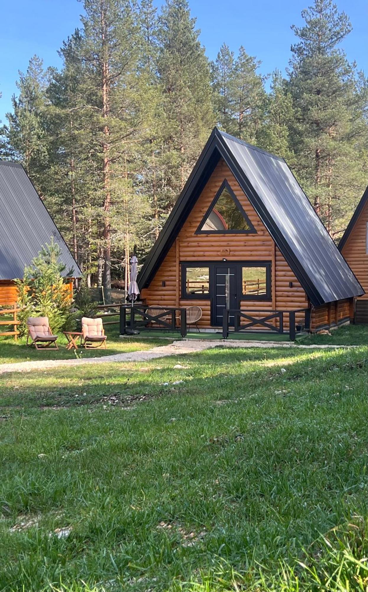 Pine Forest-Black Žabljak Exteriér fotografie